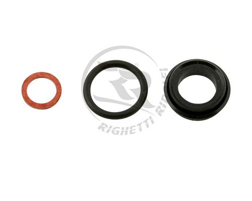 Reparo do Cilindro de Freio K225 Riguetti
